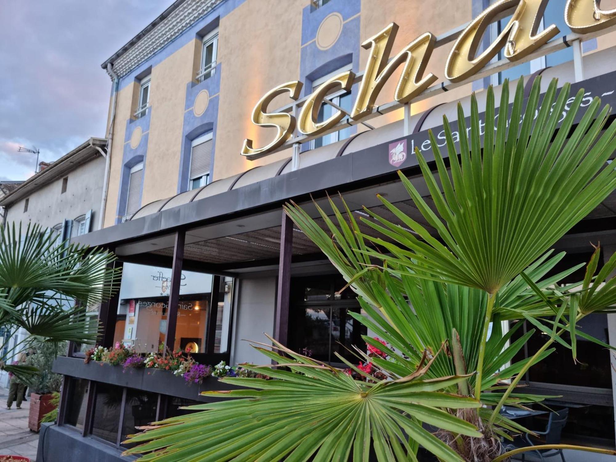 Logis Hotel Schaeffer- Restaurant Le Saint Georges Serrieres  Экстерьер фото